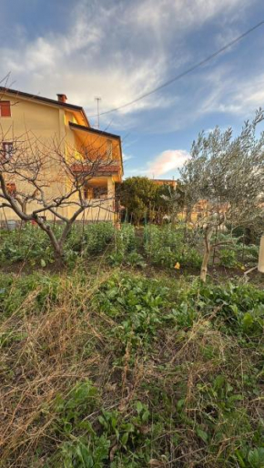 Home & Garden